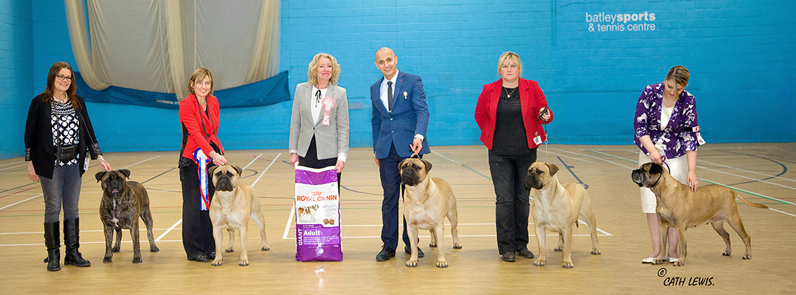 NBC Champ. Show November 2015