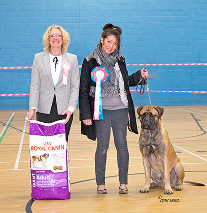 NBC Champ. Show November 2016