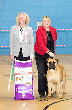 NBC Champ. Show November 2016