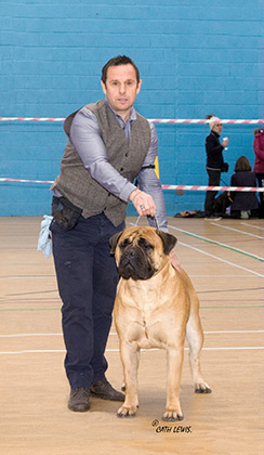 NBC Champ. Show November 2016