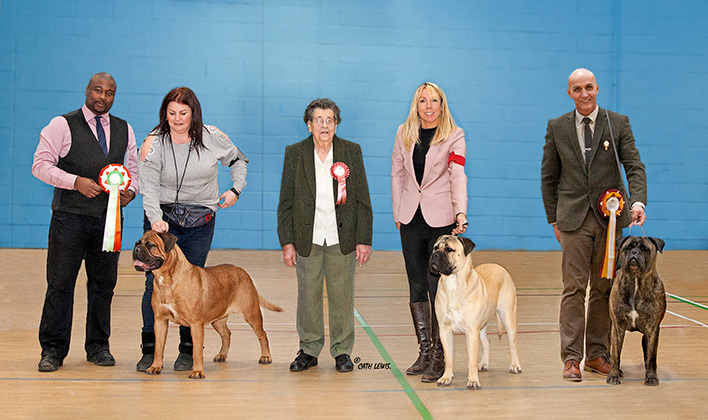 NBC Champ. Show November 2016