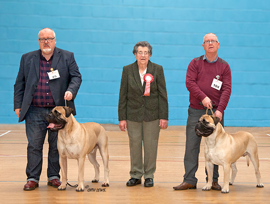 NBC Champ. Show November 2016