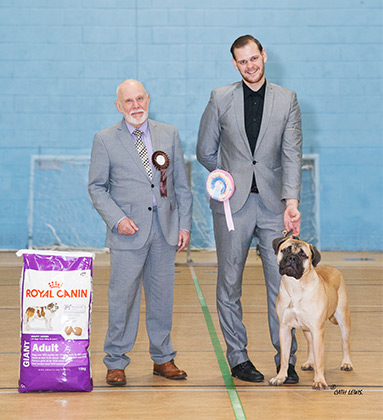 NBC Champ. Show November 2017