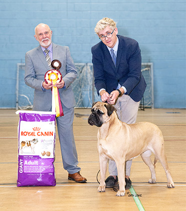 NBC Champ. Show November 2017