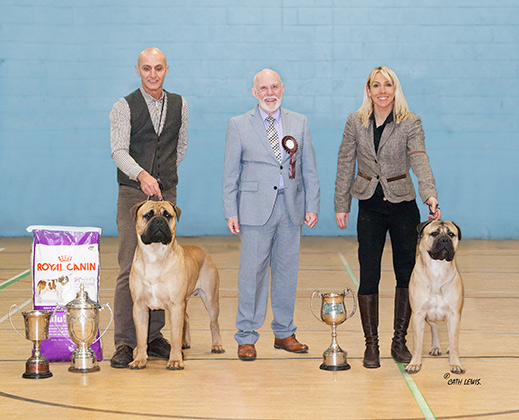 NBC Open Show February 2018