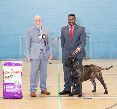 NBC Champ. Show November 2017