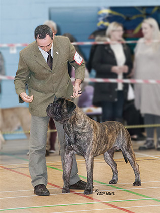 NBC Champ. Show November 2017