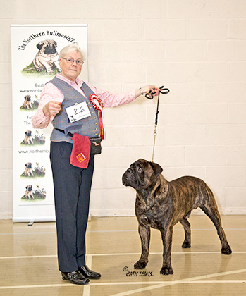 NBC Champ. Show November 2017