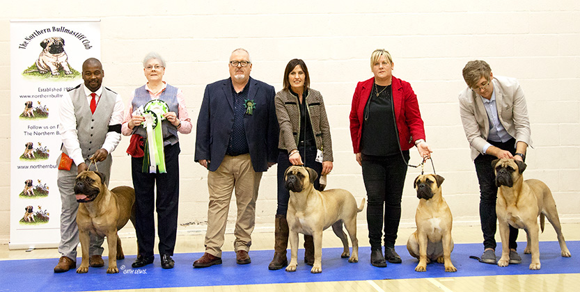 NBC Champ. Show November 2017