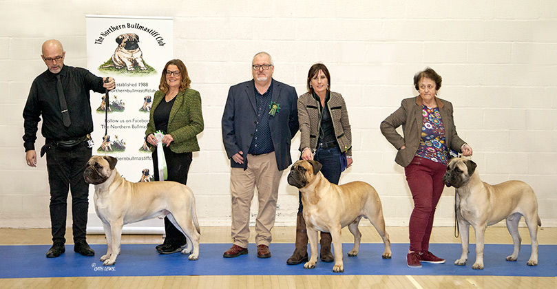 NBC Champ Show November 2018