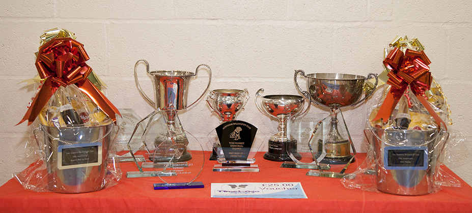 NBC Champ. Show November 2017