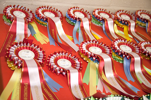 NBC Champ. Show November 2017