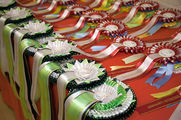 NBC Champ. Show November 2017