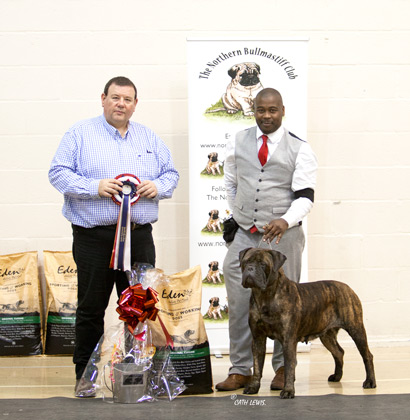 NBC Champ Show November 2019