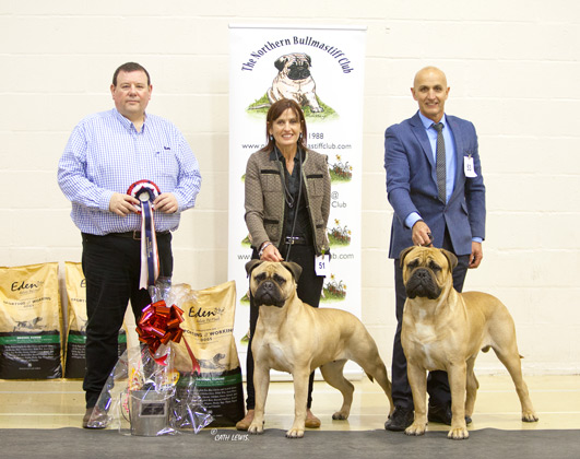 NBC Champ Show November 2019