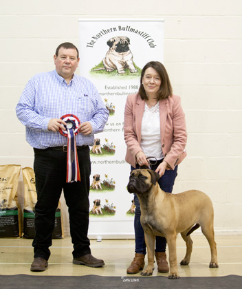 NBC Champ Show November 2019