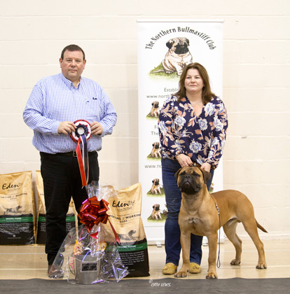 NBC Champ Show November 2019