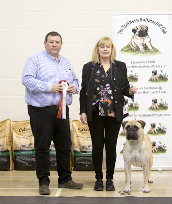 NBC Champ Show November 2019