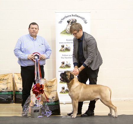 NBC Champ Show November 2019