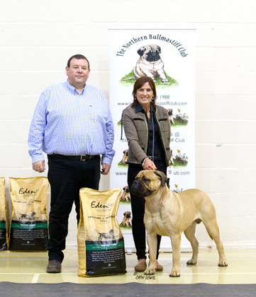 NBC Champ Show November 2019