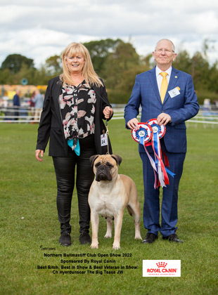 NBC Open Show September 2022 Best In Show