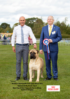 NBC Open Show September 2022 Reserve Best In Show