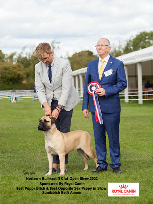 NBC Open Show September 2022 Best Puppy Bitch & Best Opposite Sex Puppy in Show: Sundabish Belle Amour