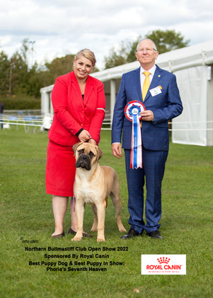 NBC Open Show September 2022 Best Puppy In Show