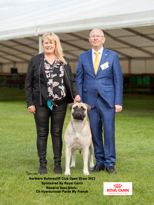 NBC Open Show September 2022 Reserve Best Bitch In Show