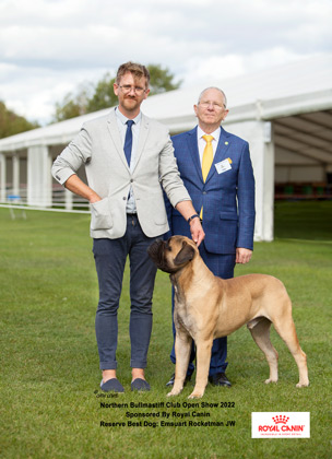 NBC Open Show September 2022 Reserve Best Dog