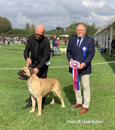 NBC Open Show September 2023