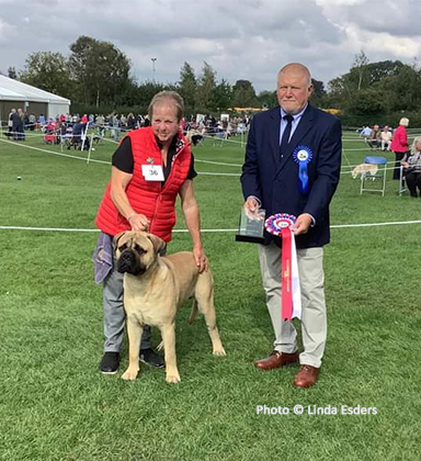 NBC Open Show September 2023